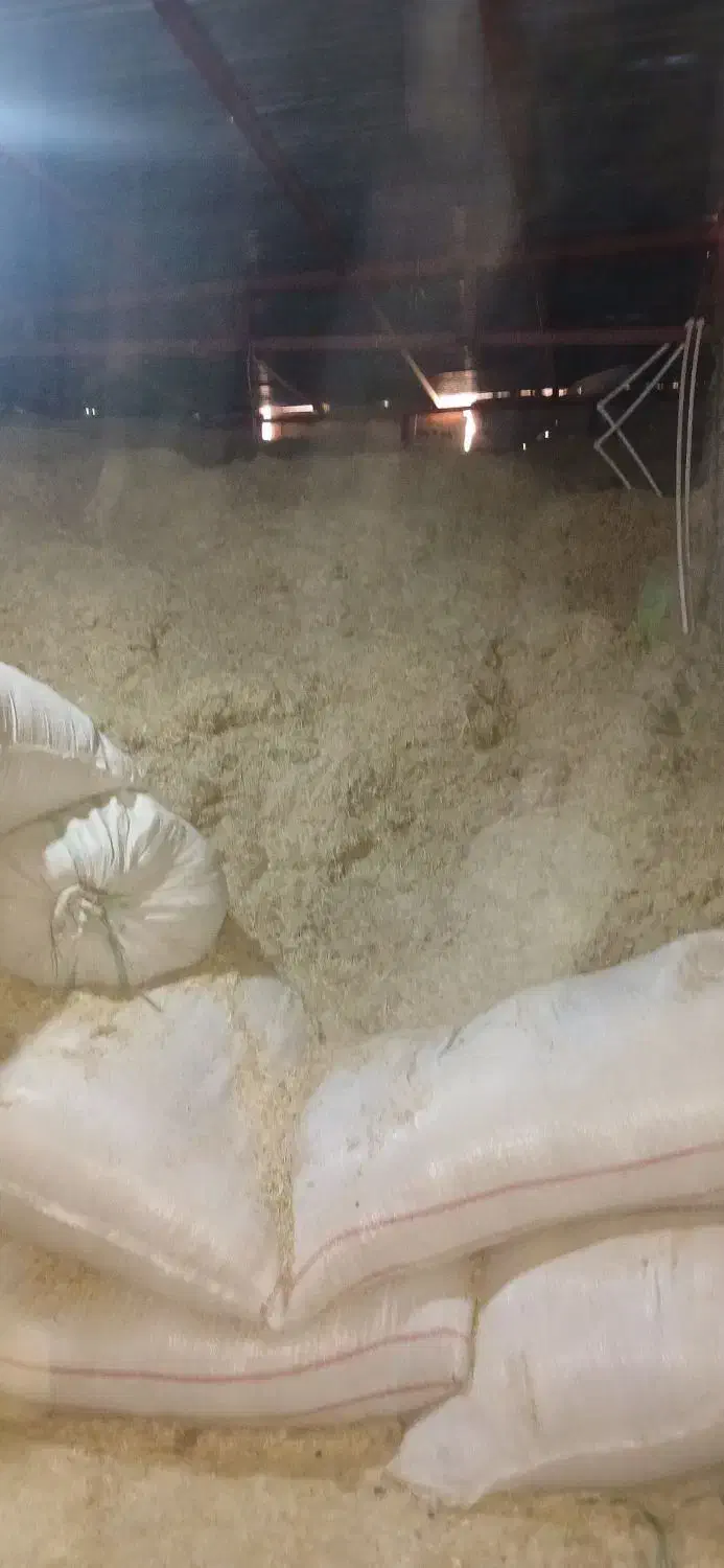 کاه برنج|عمده‌فروشی|بیرانوند, |دیوار