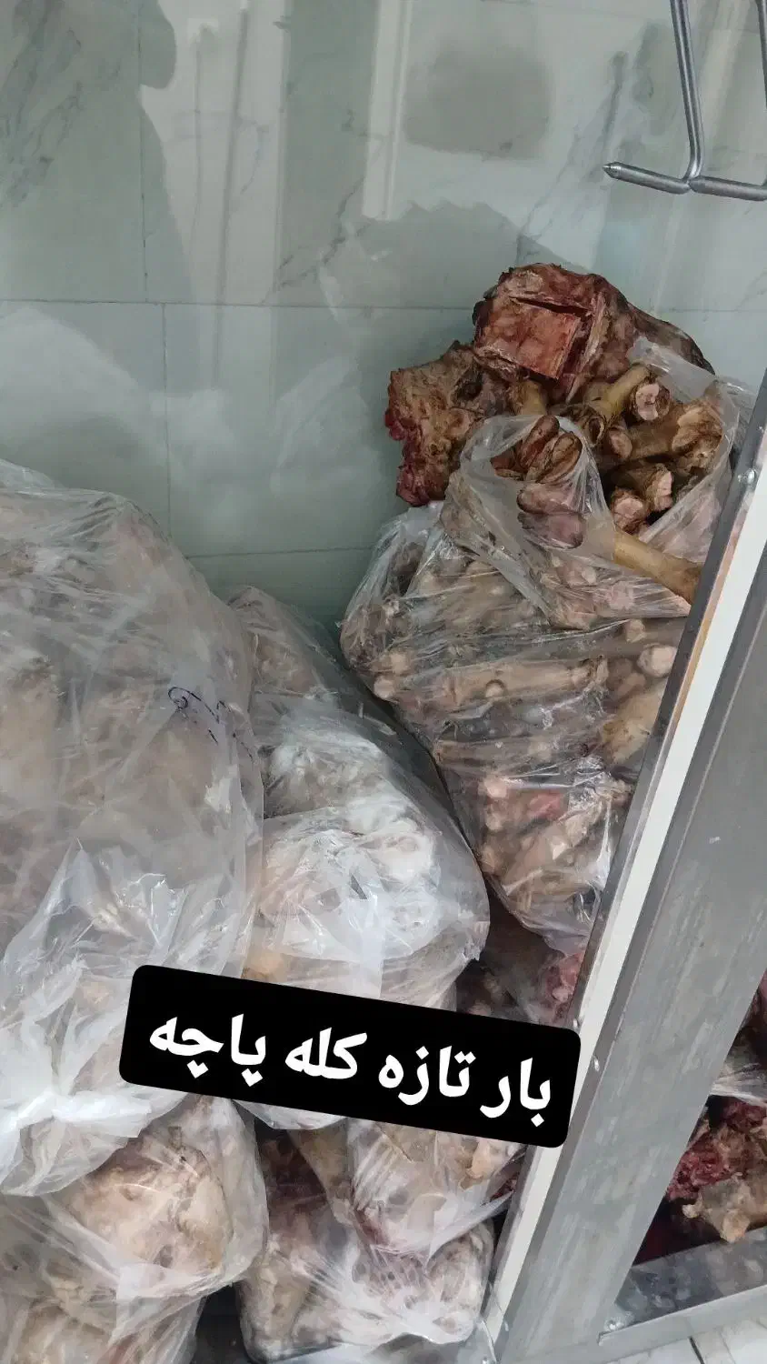 کله پاچه چپش،تکه،شیشک، گوسفند موجود میباشد|خوردنی و آشامیدنی|مهربان, |دیوار