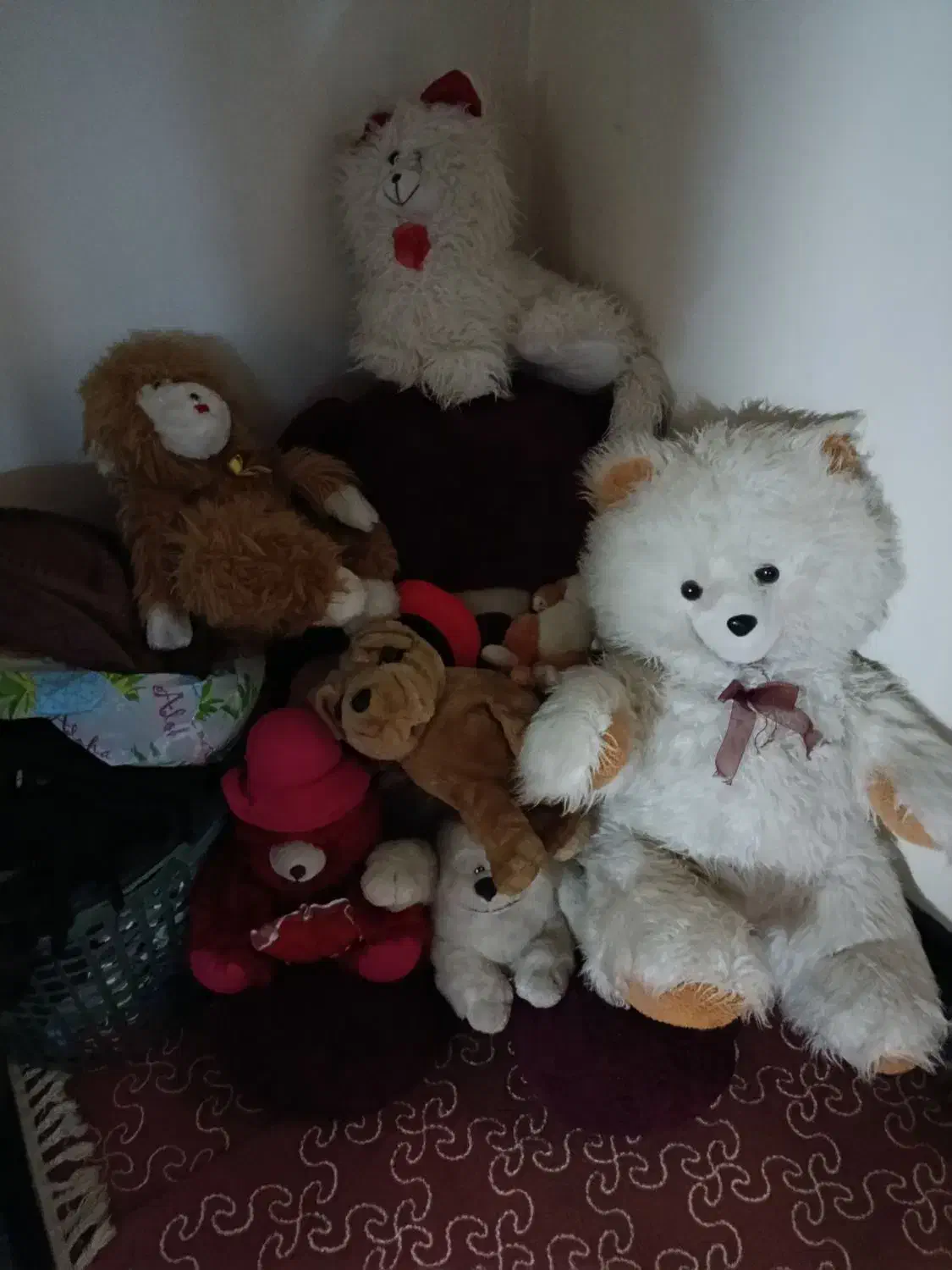 عروسک|اسباب‌بازی بچه|مسجد سلیمان, |دیوار