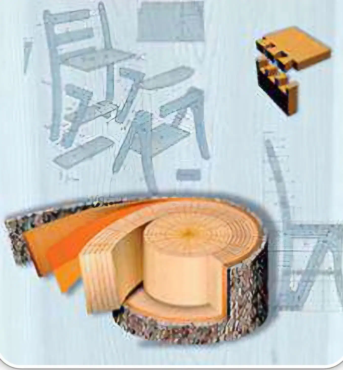 استخدام مربی صنایع چوب|استخدام آموزشی|اهواز, سپیدار|دیوار