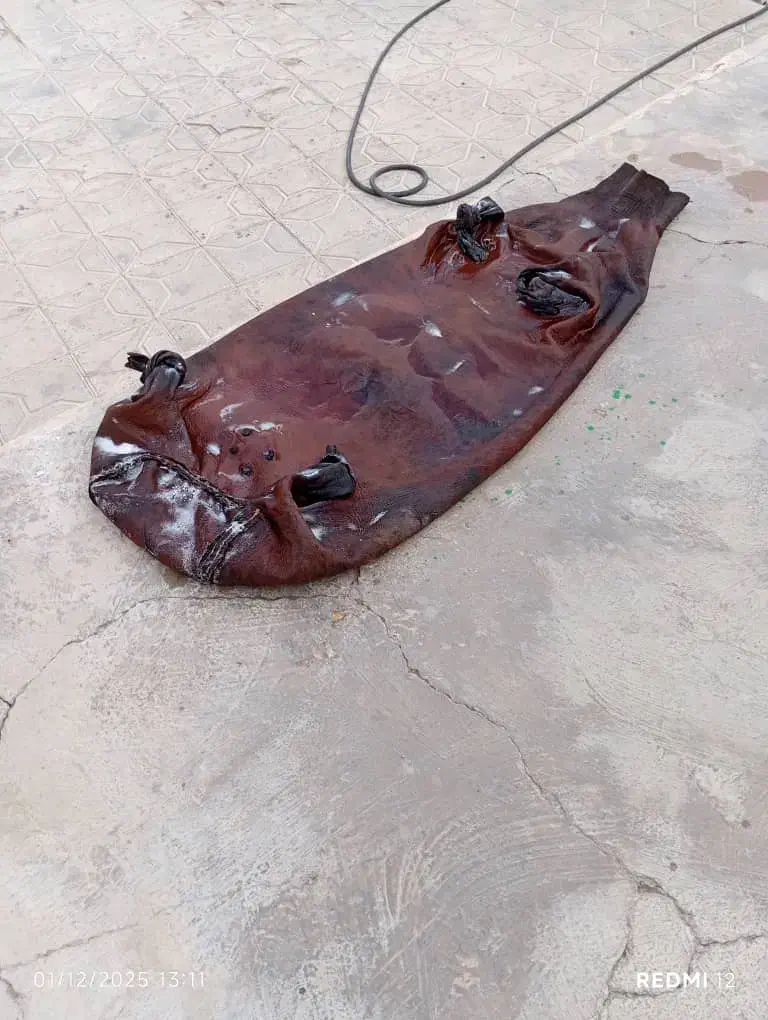 مشک|صنایع دستی و سایر لوازم تزئینی|ایوان, |دیوار