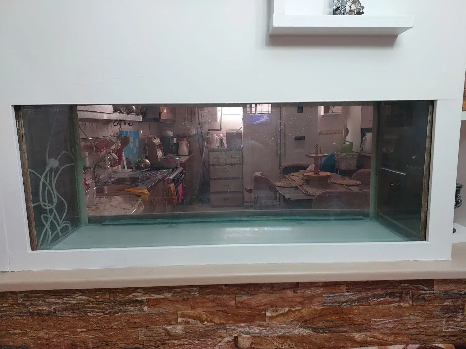 آکواریوم|ماهی|امیدیه, |دیوار