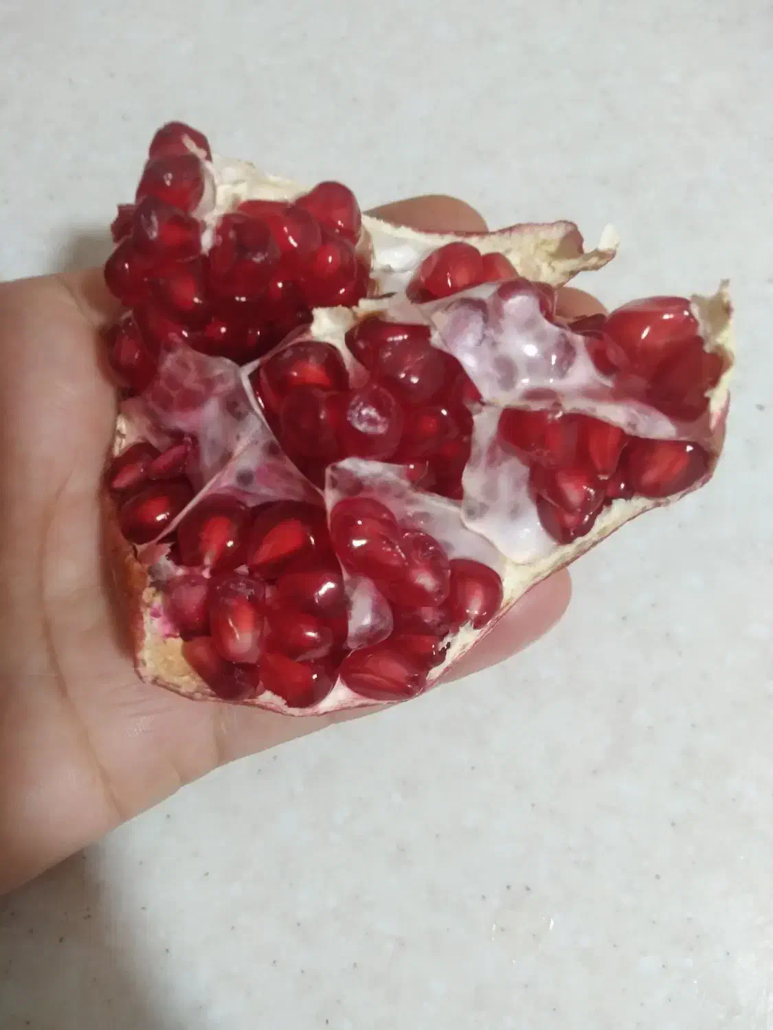 ناردونه درجه یک|خوردنی و آشامیدنی|شیراز, شهرک مدرس|دیوار