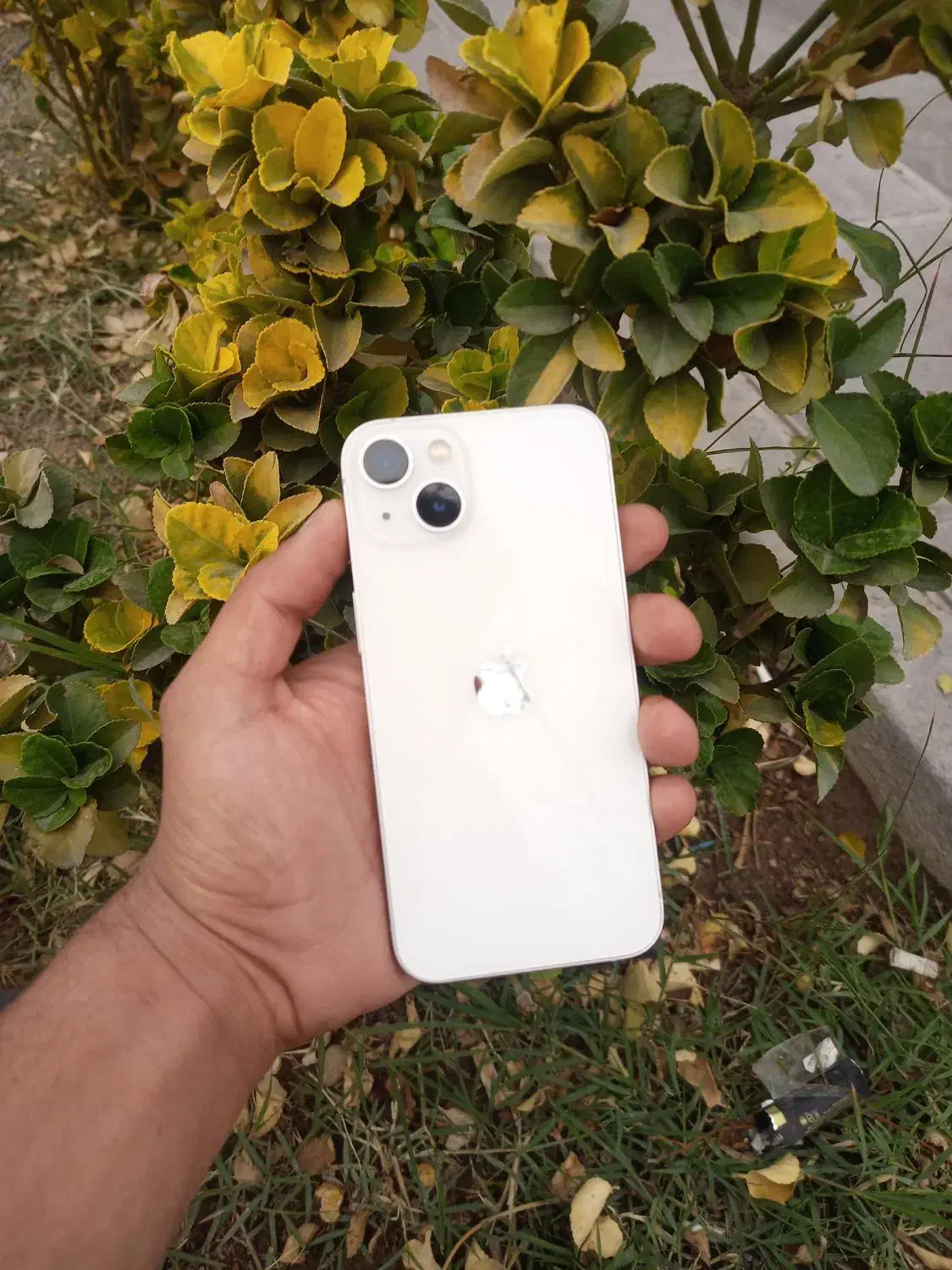 در حد نو|موبایل|یزد, |دیوار