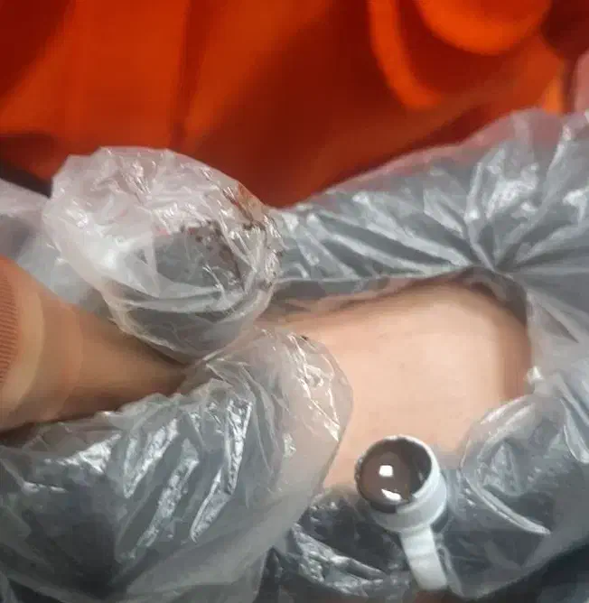 ارایش دائم|خدمات آرایشگری و زیبایی|نورآباد ممسنی, |دیوار