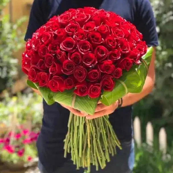 راهنمایی کنید|فعالیت داوطلبانه|فسا, |دیوار