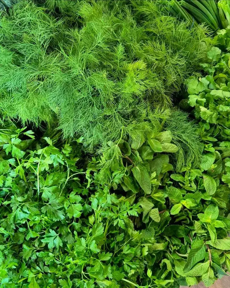 سبزی تازه و خوش عطر|خوردنی و آشامیدنی|گرمسار, |دیوار