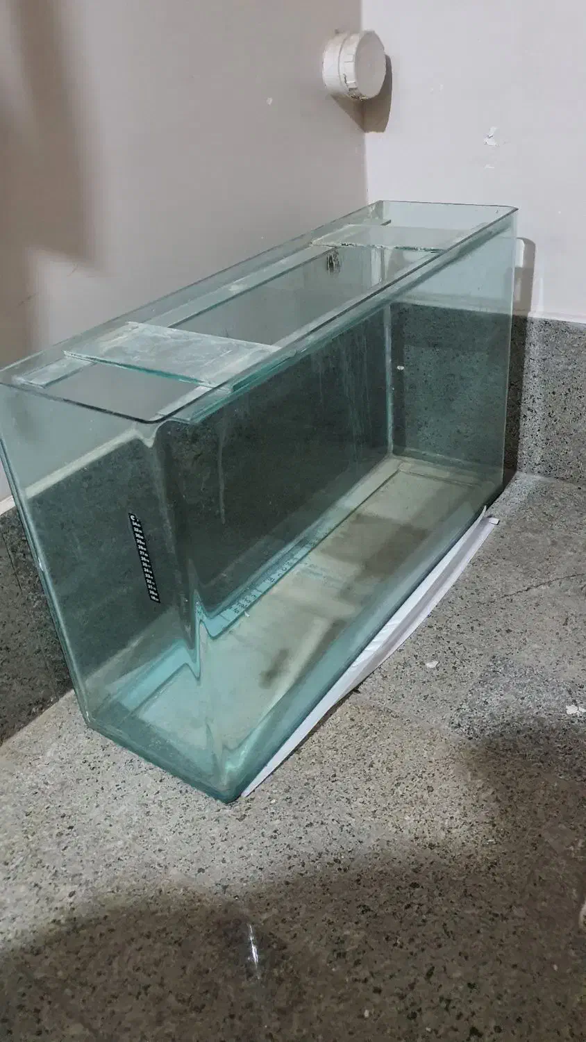 اکواریوم ۱۰۰×۶۰×۳۰|ماهی|شیراز, بعثت|دیوار