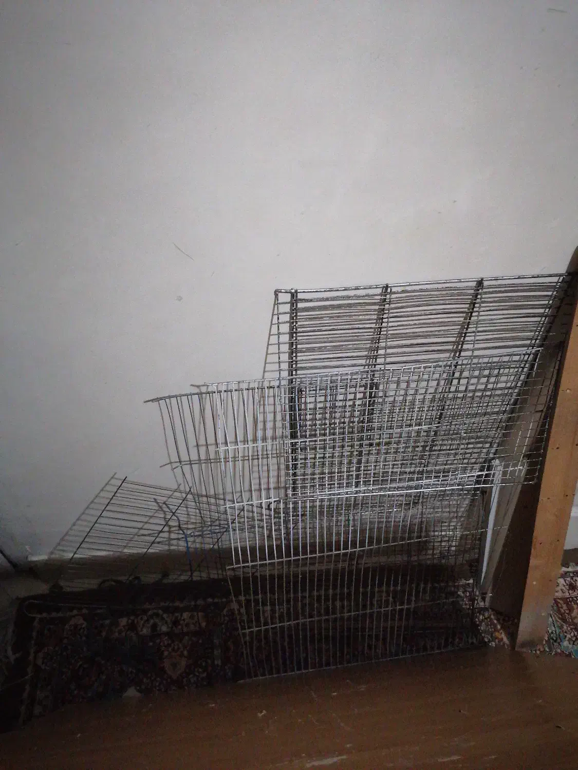 سه تخت چوب با تکه های جداشده قفس|لوازم جانبی حیوانات|ری, حمزه‌آباد|دیوار