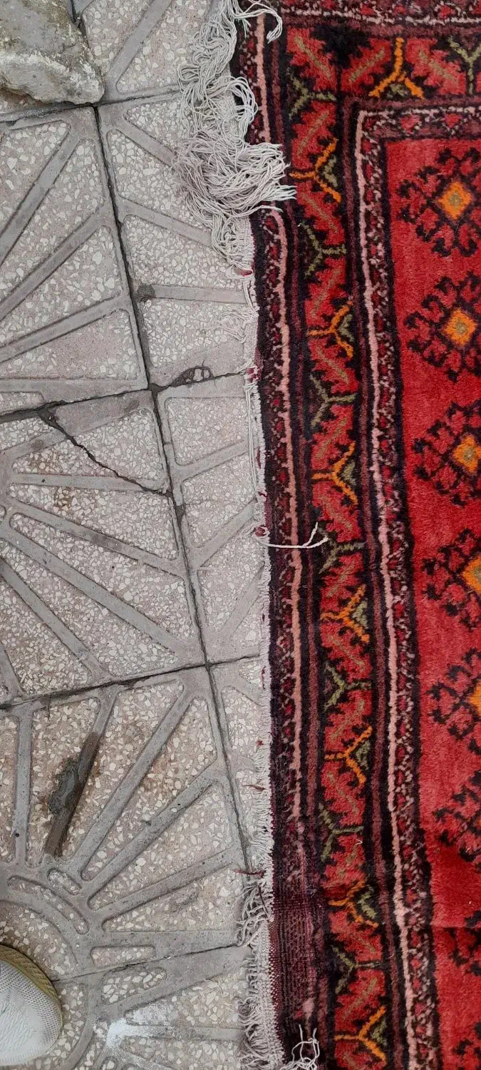 فرش دستباف|فرش|مشهد, رده|دیوار