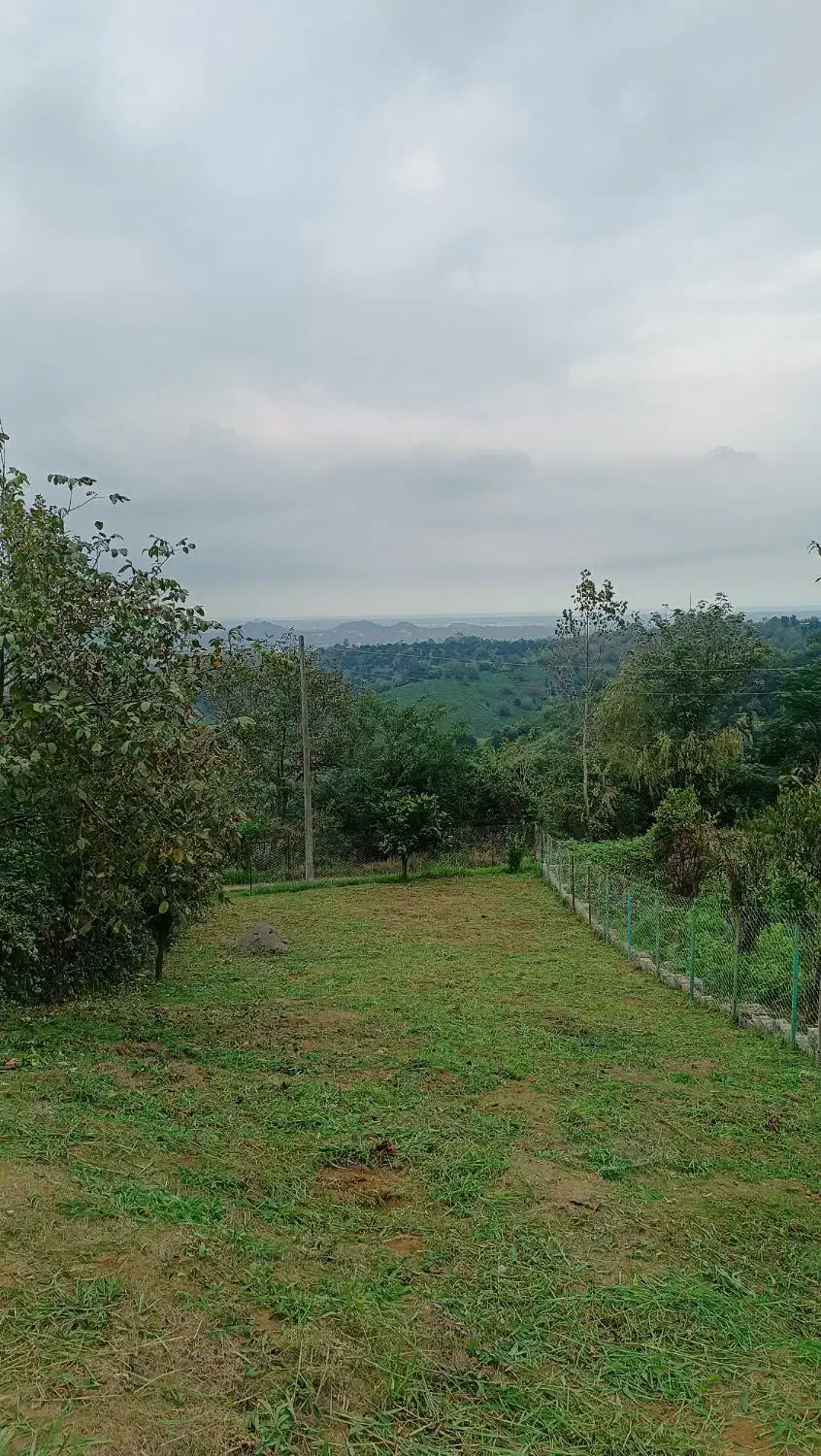 فروش زمین|فروش زمین و ملک کلنگی|لنگرود, |دیوار