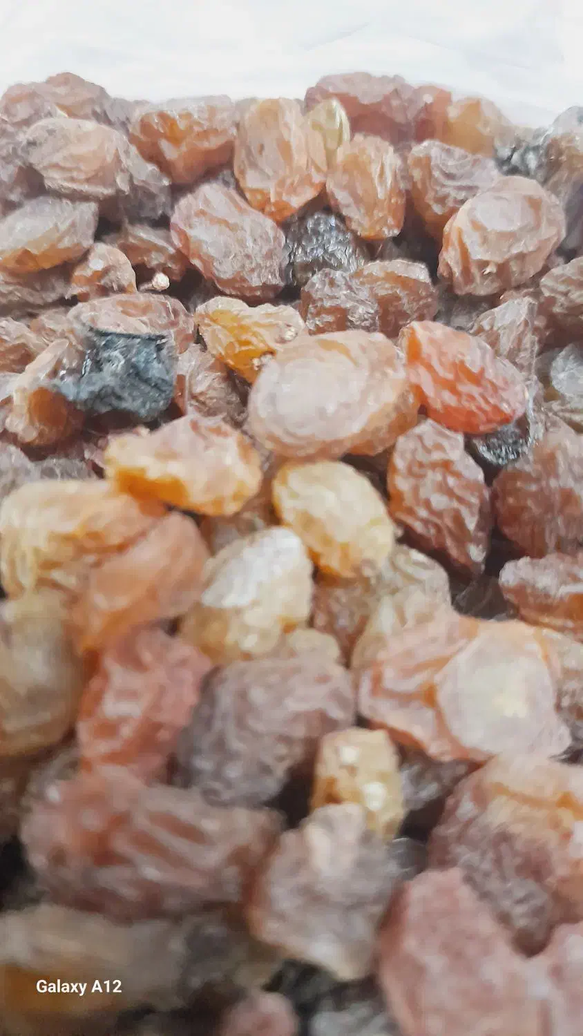 کشمش|خوردنی و آشامیدنی|قزوین, |دیوار