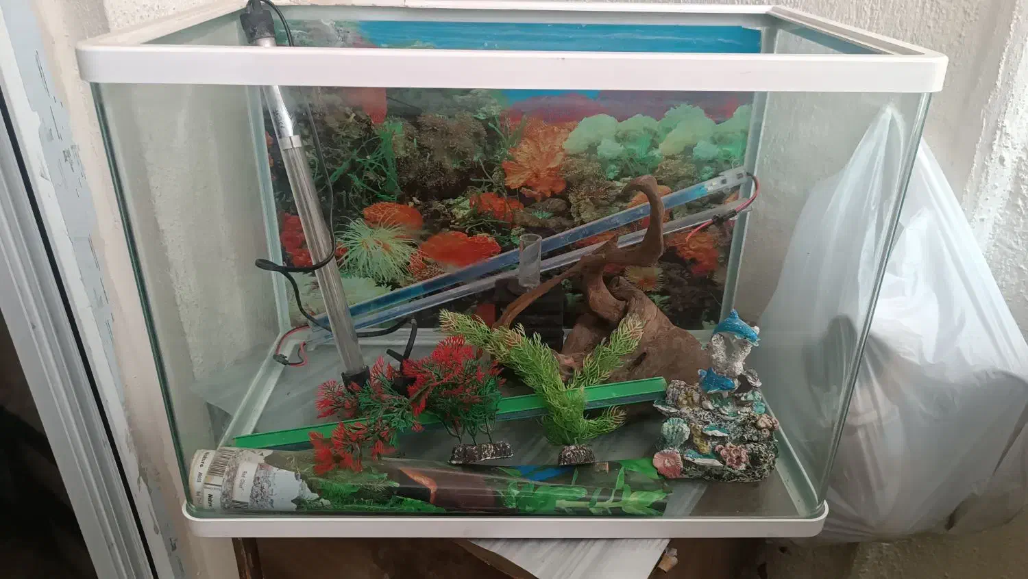 اکواریوم دور خم خیلی تمیز بدون ایراد|ماهی|سهند, |دیوار