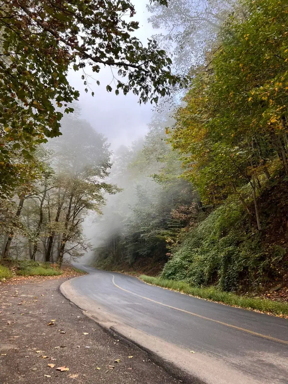 بلیط|بلیت مسابقهها و مکانهای ورزشی|مرودشت, تامین اجتماعی|دیوار