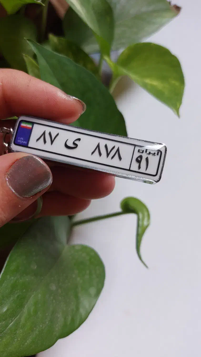 جاسوئیچی پلاک ماشین|بدلیجات|پارس‌آباد, |دیوار