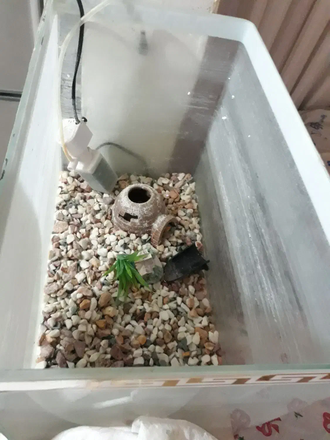 آکواریوم|ماهی|ورامین, ورامین|دیوار