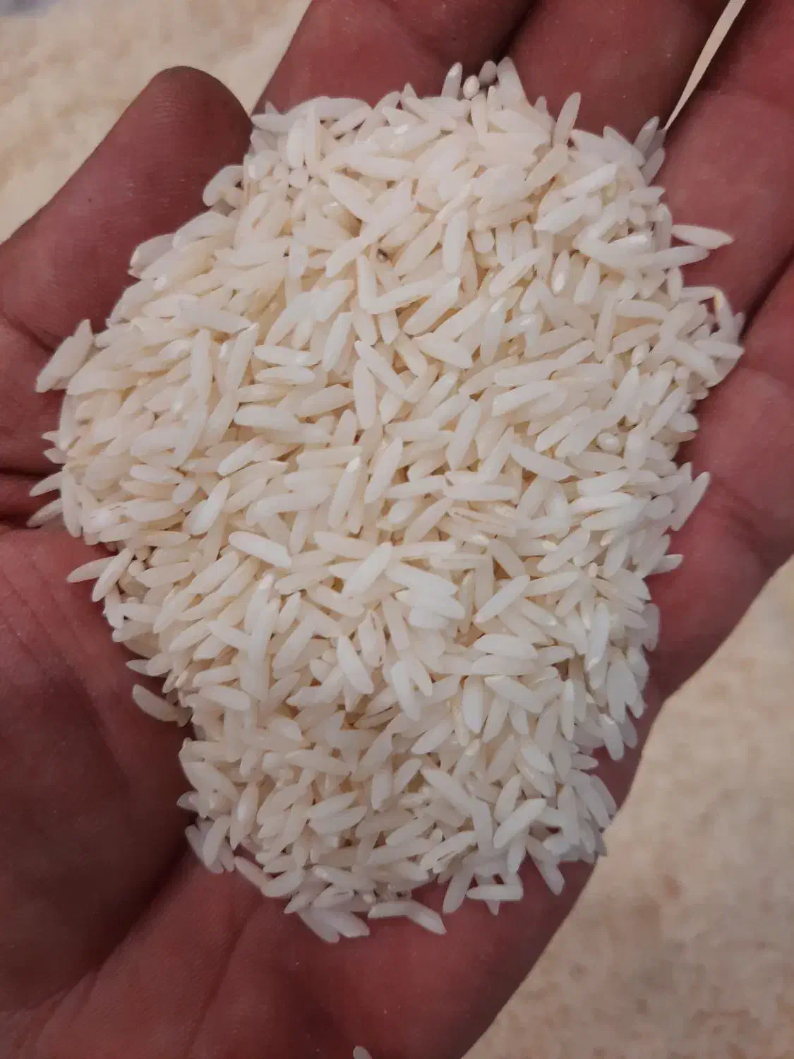 برنج طارم هاشمی اعلا|خوردنی و آشامیدنی|کرج, کوی کارمندان شمالی|دیوار