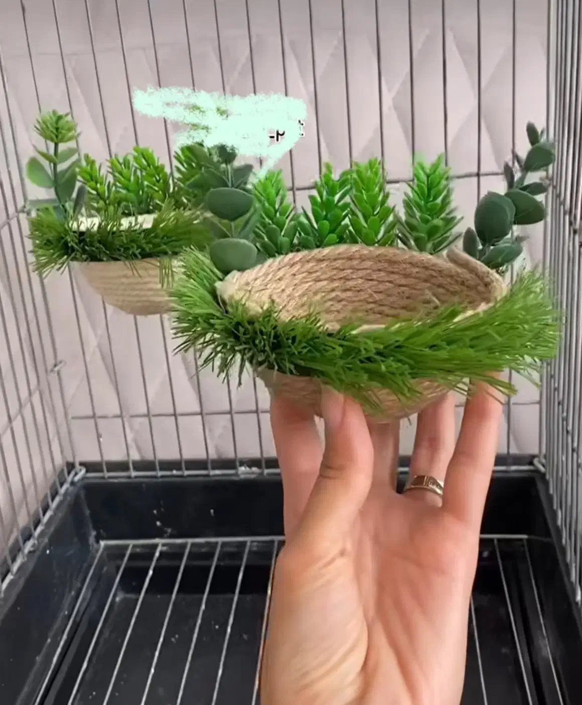 فروش لانه پرنده|لوازم جانبی حیوانات|تهران, سبلان (لشگر)|دیوار