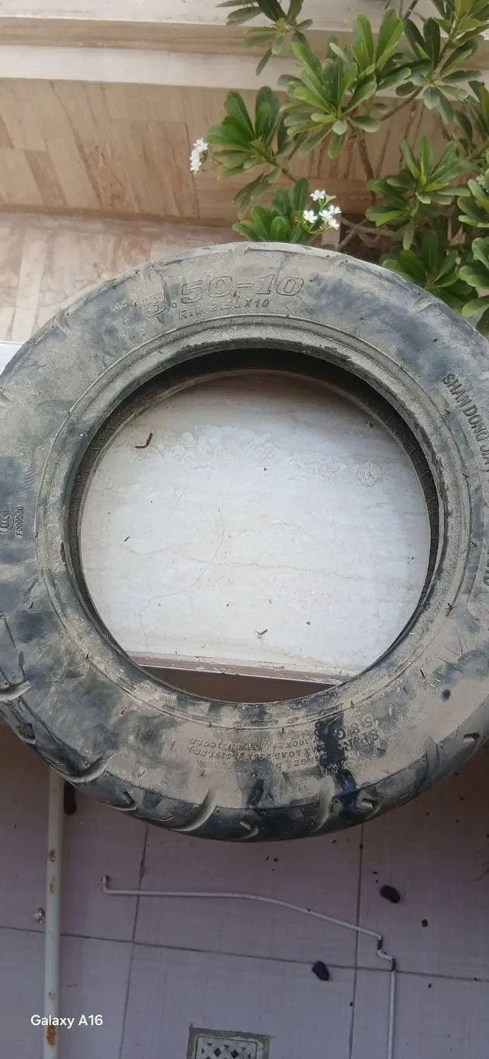 لاستیک بیمکث و z6|دوچرخه، اسکیت، اسکوتر|کیش, |دیوار