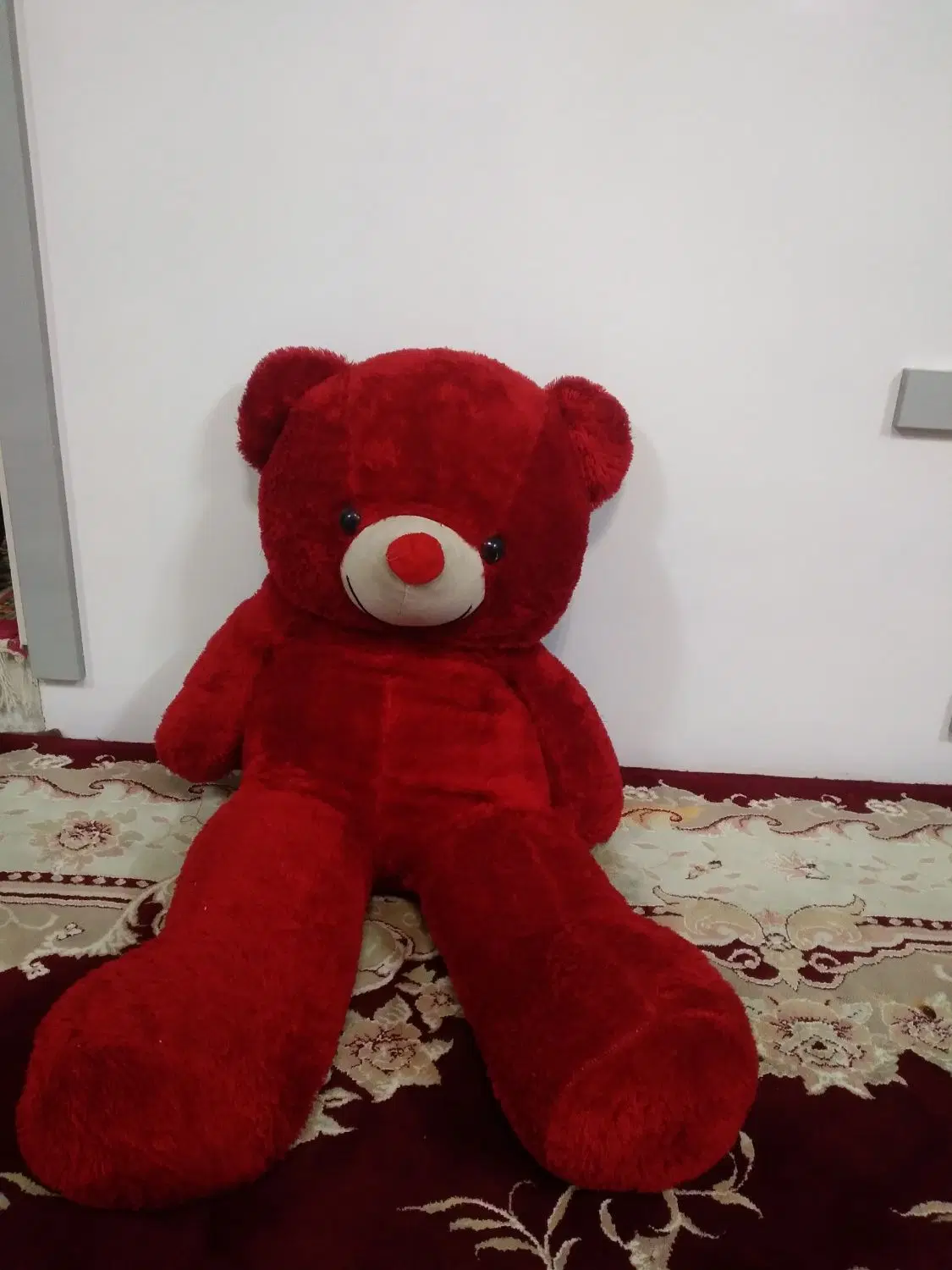 عروسک|اسباببازی|مشهد, طبرسی شمالی|دیوار