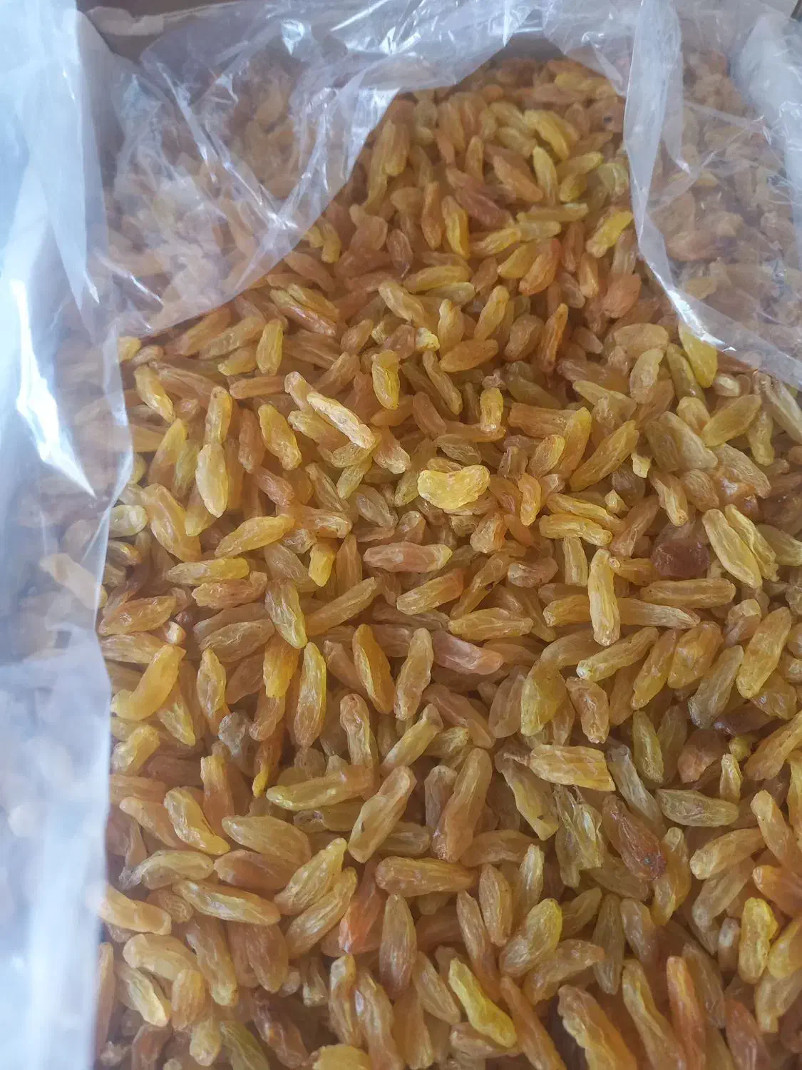 فروش ویژه کشمش سبز وزرد|خوردنی و آشامیدنی|کاشمر, |دیوار