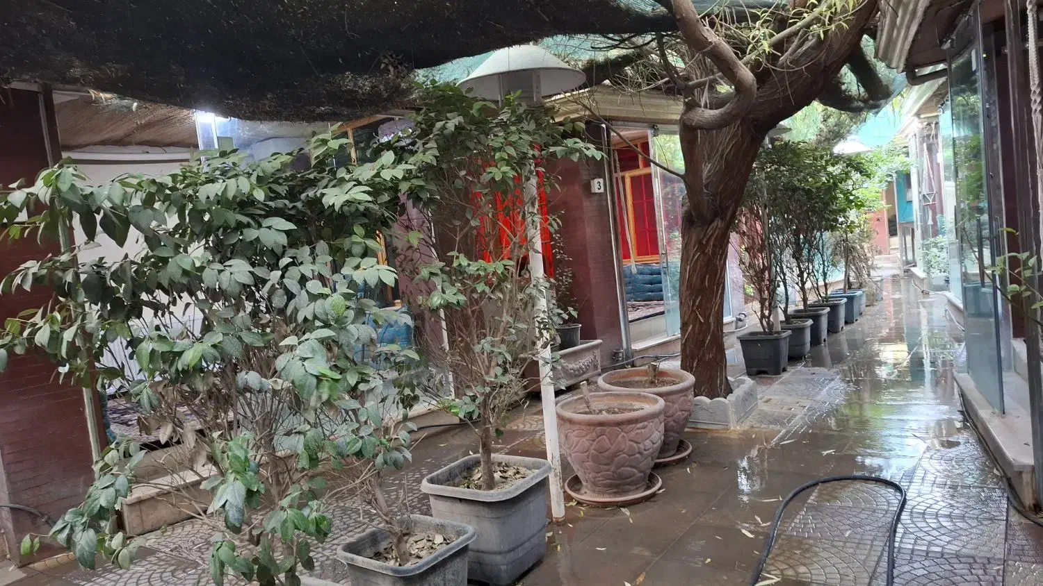 قلیان زن|استخدام خدمات فروشگاه و رستوران|کرمانشاه, |دیوار