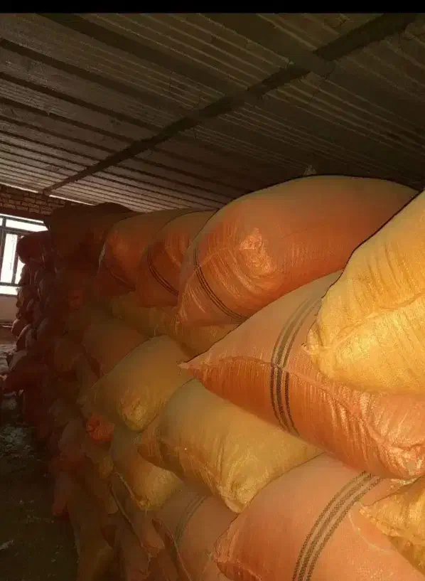 کاه گندم|حیوانات مزرعه|شیراز, کرونی(خاتونک)|دیوار