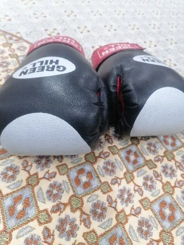 دستکش بوکس|تجهیزات ورزشی|بیرجند, |دیوار