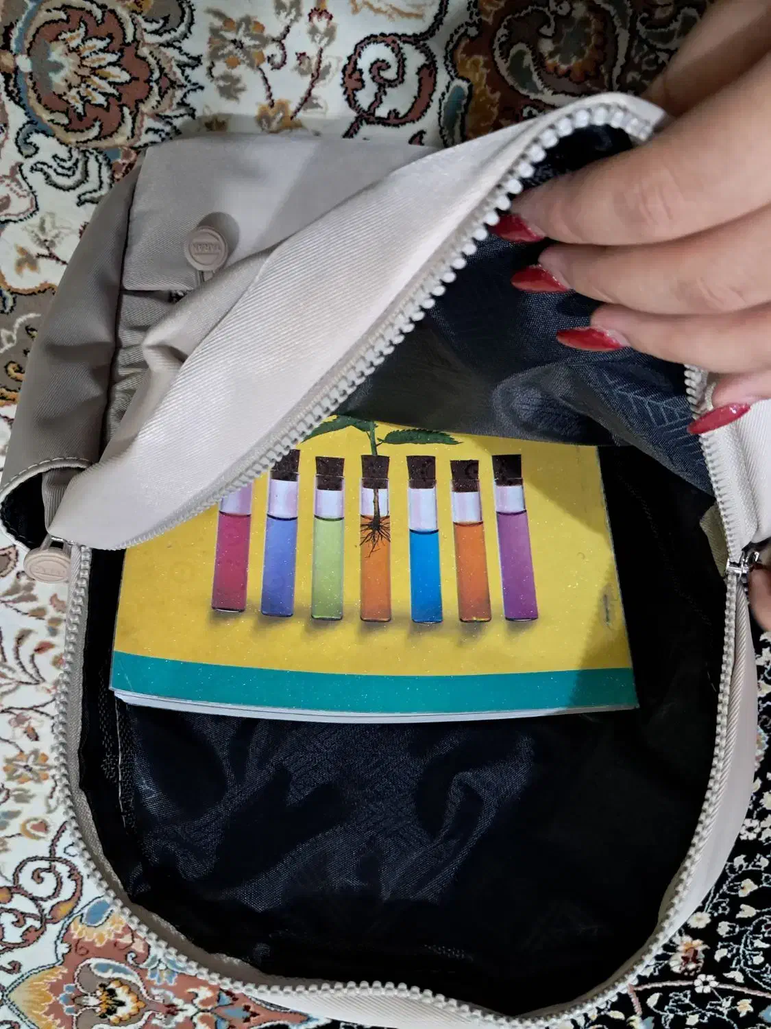 کوله دانشجویی|کیف، کفش، کمربند|اهواز, سپیدار|دیوار