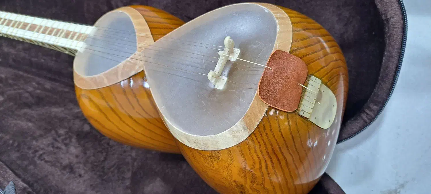 تار کاملا نو بدون استفاده|سازهای سنتی|قائمشهر, |دیوار