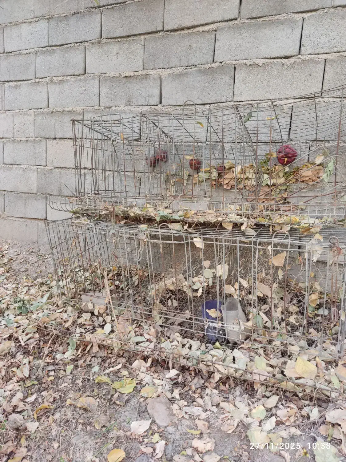 قفس مرغ تخمگذار منبری|لوازم جانبی حیوانات|تفت, |دیوار