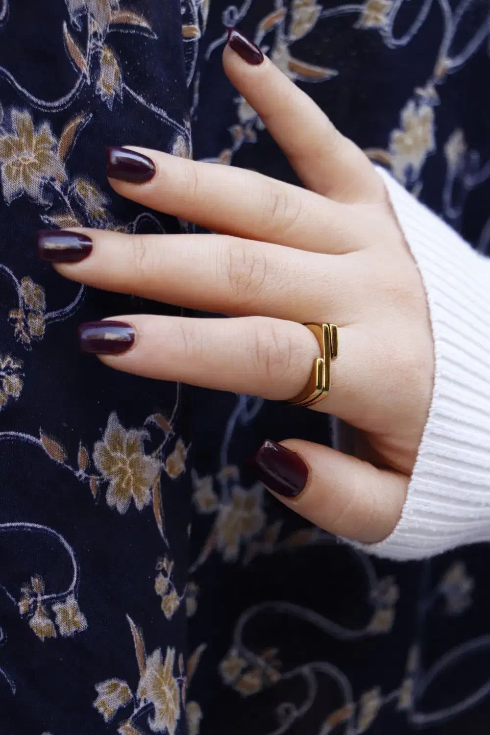 انگشتر|بدلیجات|شیراز, اصلاح‌نژاد|دیوار