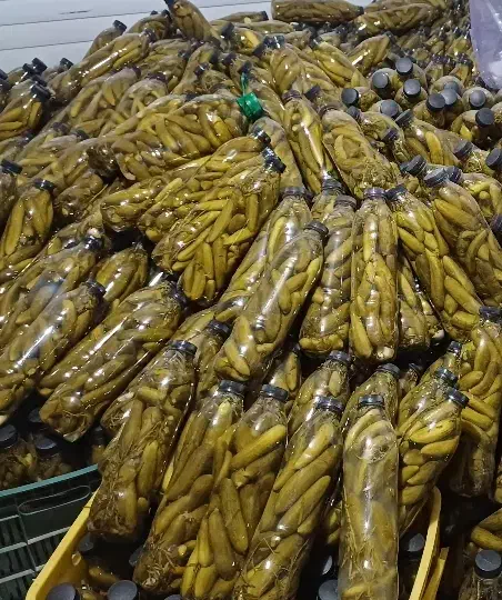 خیارشور|خوردنی و آشامیدنی|شیراز, گلدشت معالی‌آباد|دیوار