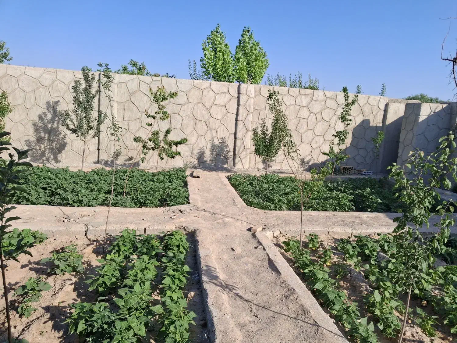 زمین ویلایی باسمنج|فروش خانه و ویلا|باسمنج, |دیوار