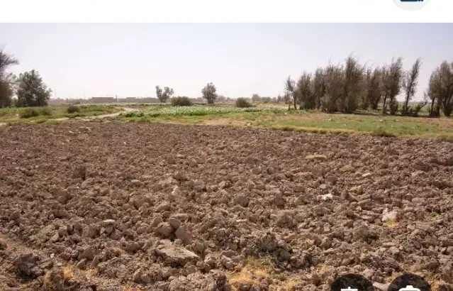 زمین|فروش زمین و ملک کلنگی|هیرمند, |دیوار