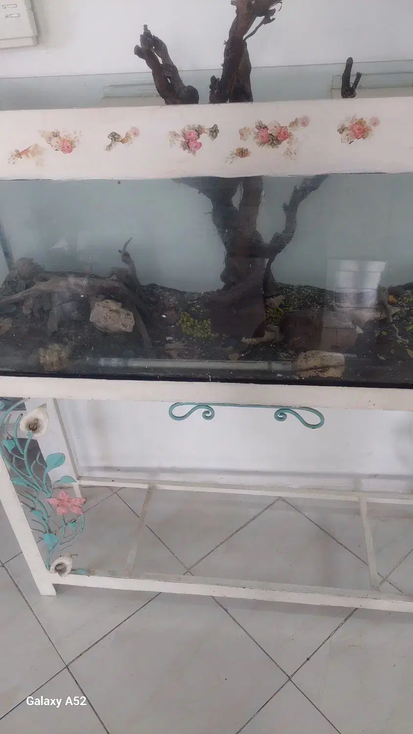 اکواریوم با پایه فرفورژه|ماهی|مشهد, حجاب (شهرک غرب)|دیوار