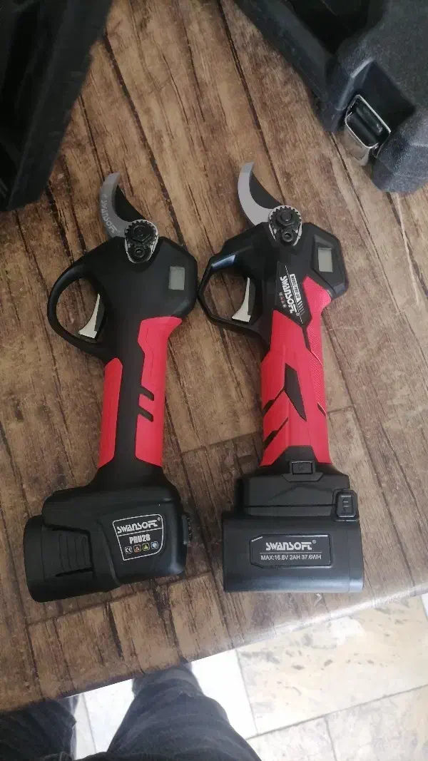 هرس کاری باغات|خدمات باغبانی و درختکاری|مراغه, |دیوار