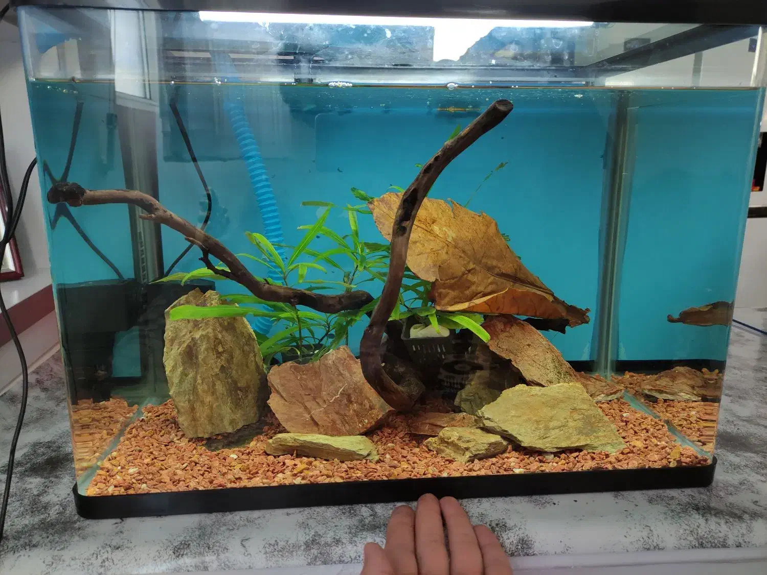 آکواریوم شیشه خم با لوارم در حد نو|ماهی|خسروشاه, |دیوار