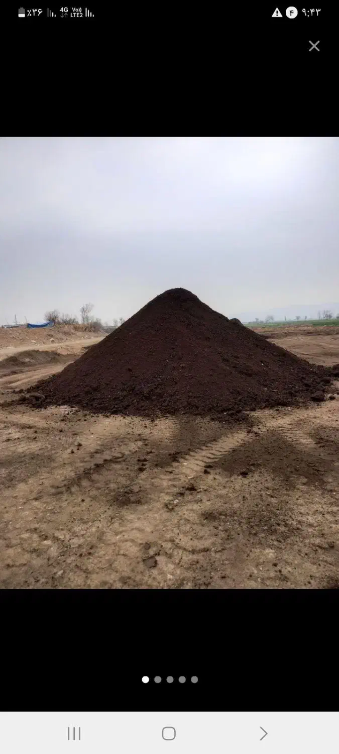 کودپیین|گل و گیاه طبیعی|اهر, |دیوار