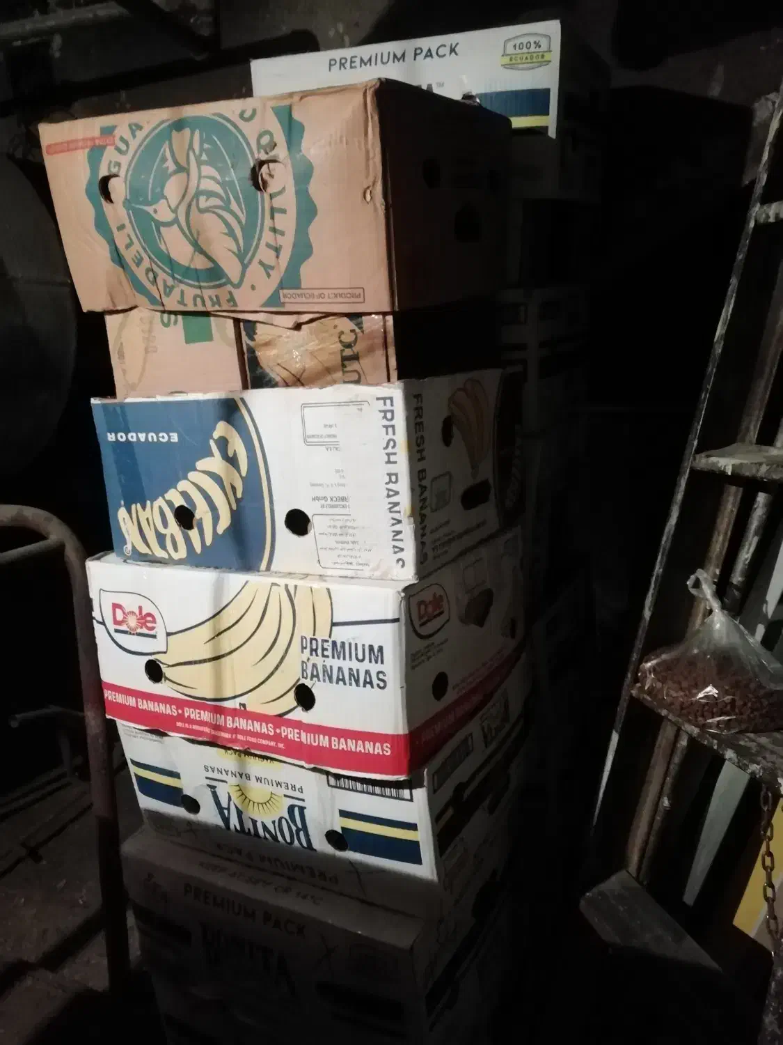 جعبه موز|ظروف نگهدارنده، پلاستیکی، یک‌بارمصرف|تهران, دبستان|دیوار