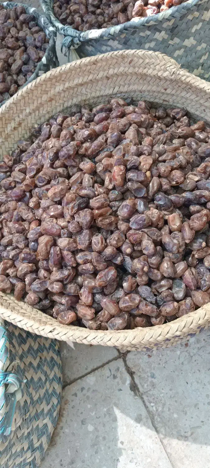 خرمای گنطار|حراج|شادگان, |دیوار