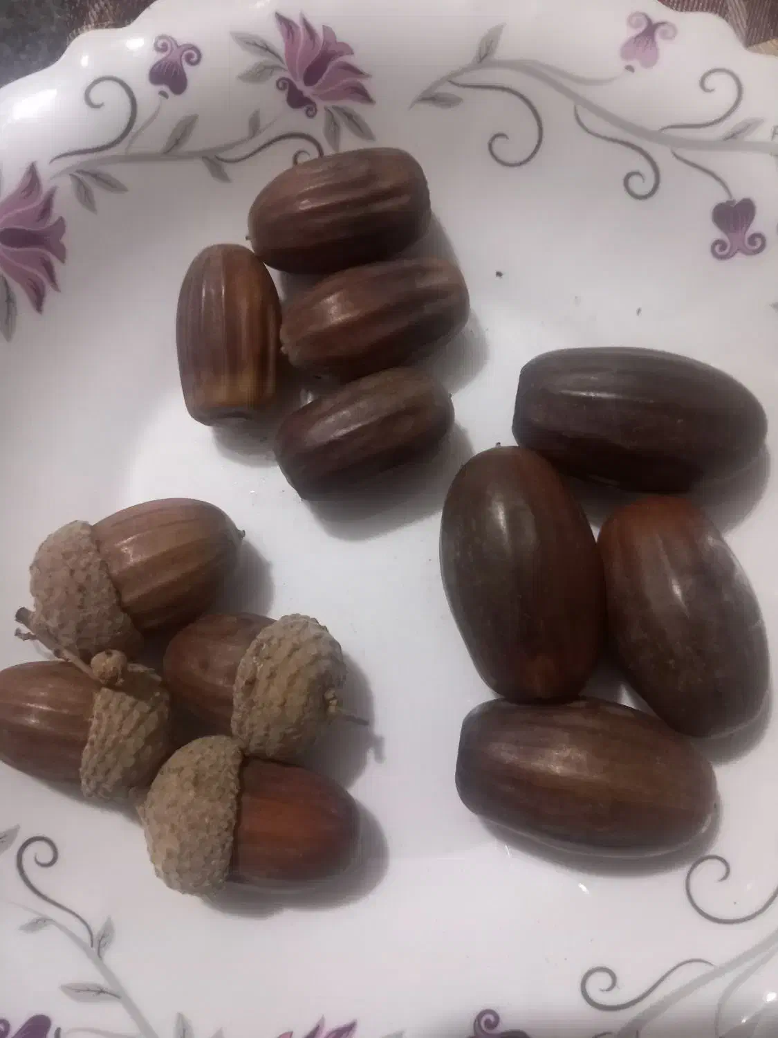 بلوط درشت وخاص پسند|خوردنی و آشامیدنی|خوی, |دیوار