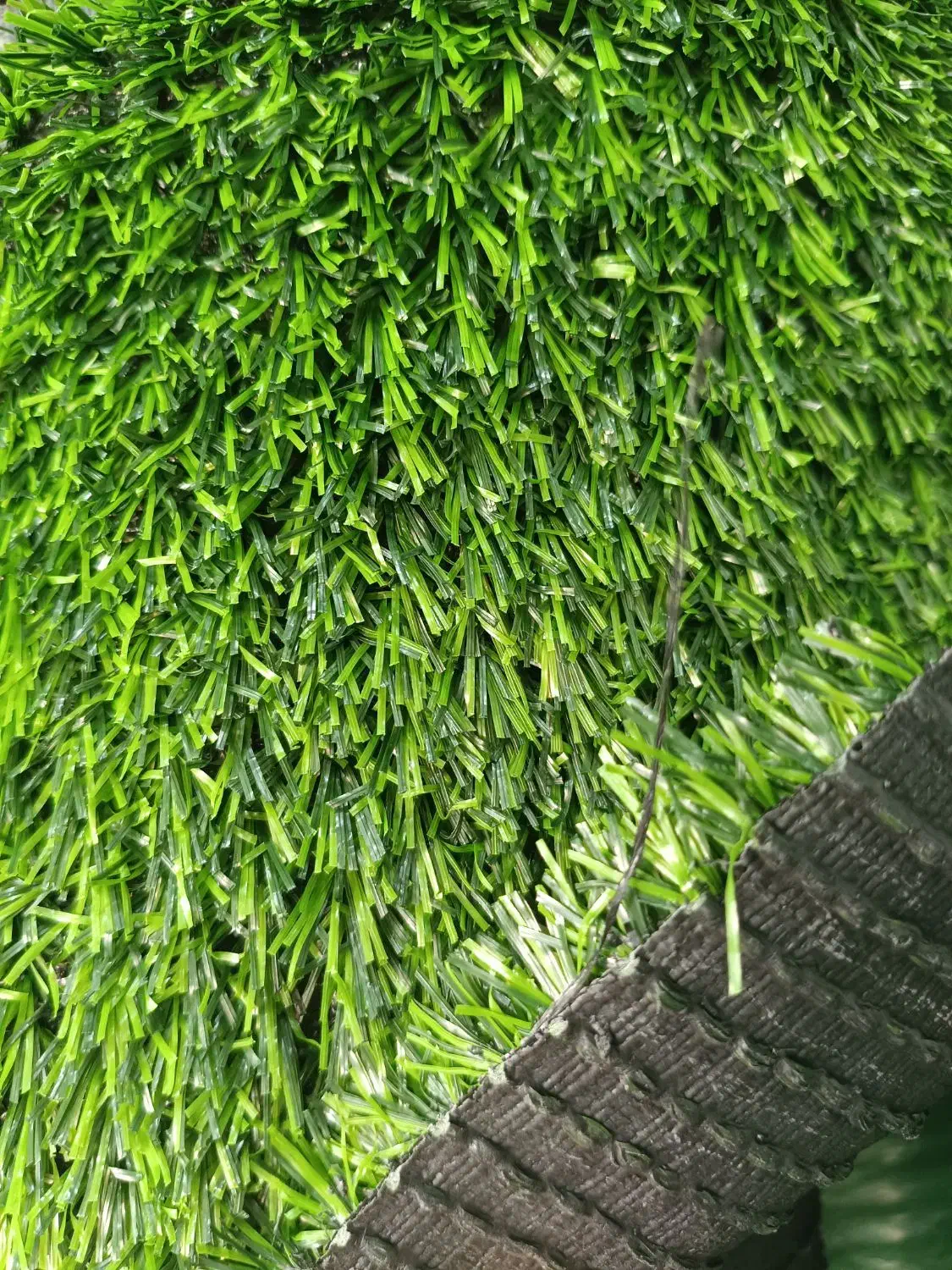 چمن مصنوعی|گل مصنوعی|شیراز, اصلاح‌نژاد|دیوار