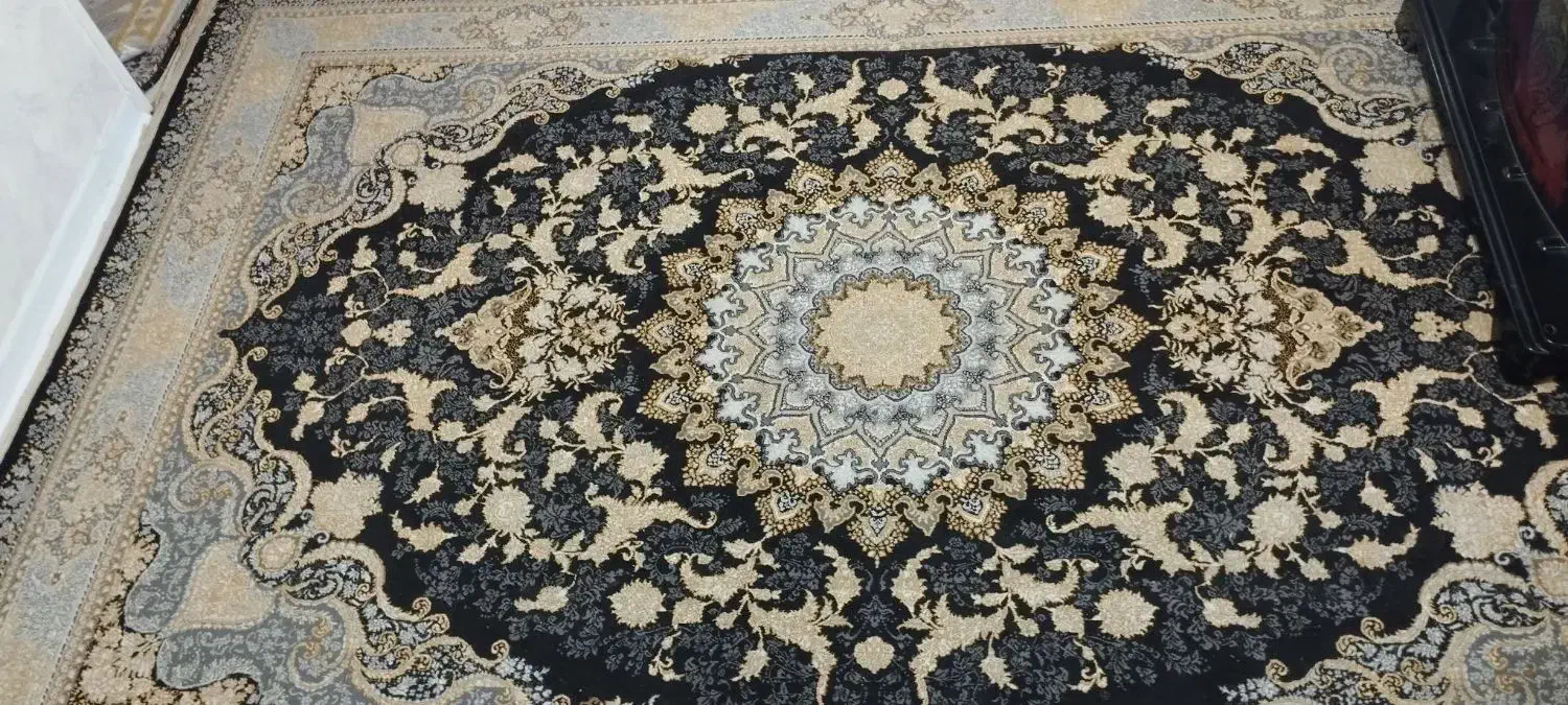 فرش 6متری دست بافت گونه ضخیم|فرش|همدان, |دیوار