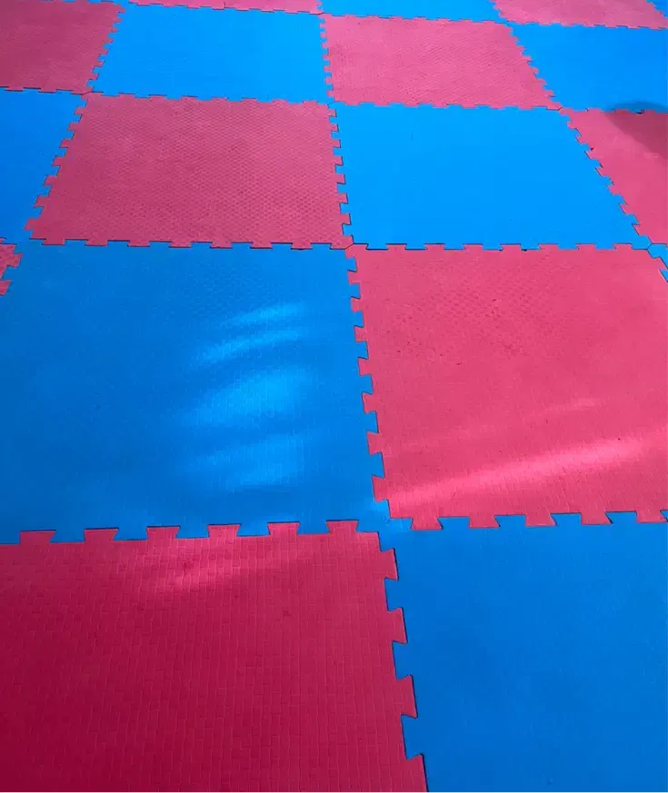 50 متر تاتامی|تجهیزات ورزشی|زابل, |دیوار