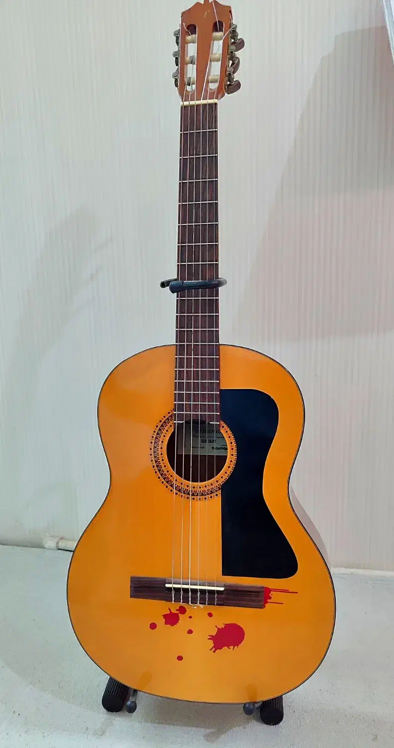 گیتار فرناندز Fernandez|گیتار، بیس، امپلیفایر|چهاردانگه (تهران), |دیوار