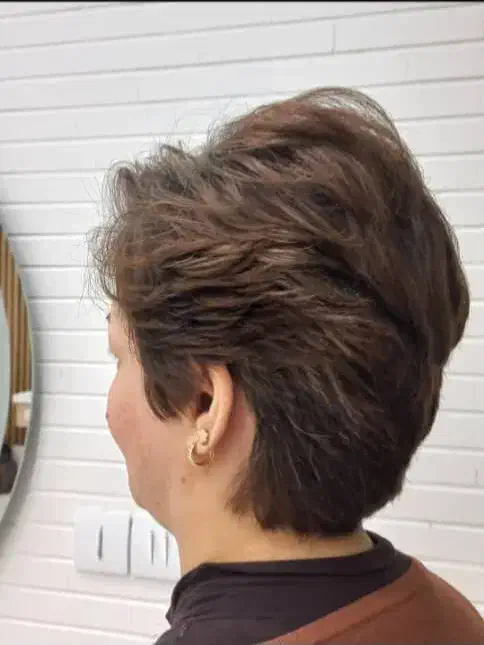 کوتاهی مو جشنواره ۲۵۰|خدمات آرایشگری و زیبایی|شاهینشهر, خبرنگار|دیوار