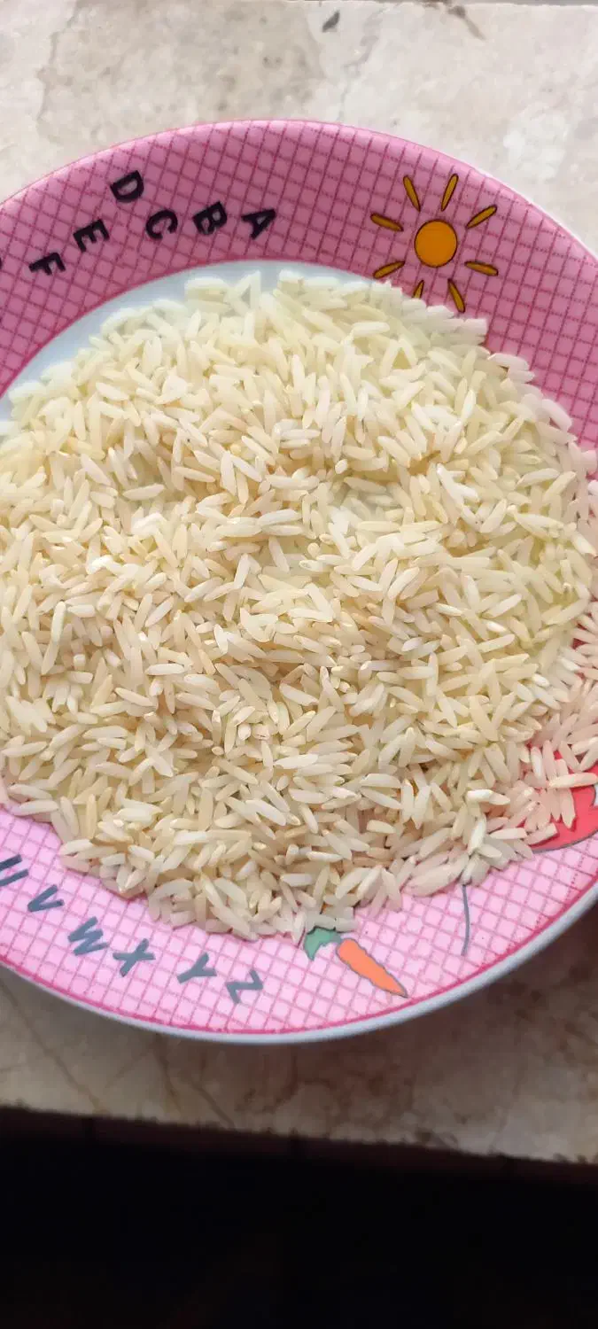 برنج هاشمی|خوردنی و آشامیدنی|رشت, توشیبا|دیوار