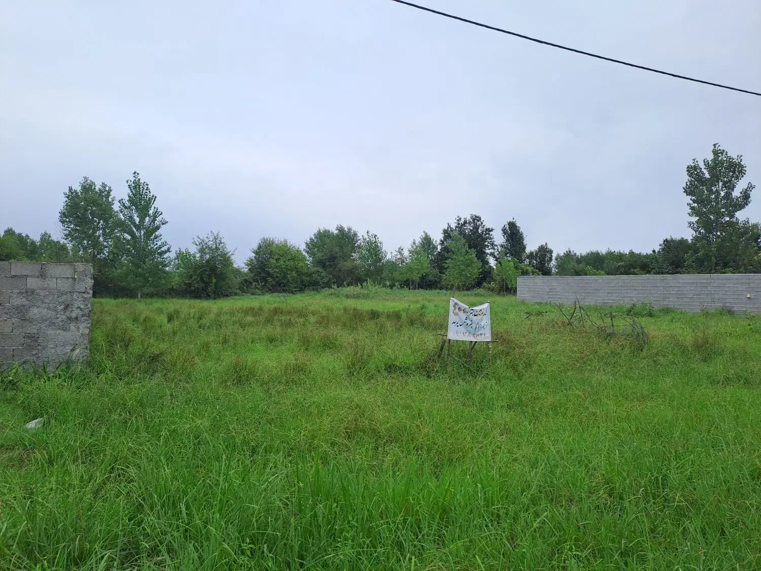 زمین|فروش زمین و ملک کلنگی|رشت, معلولین|دیوار