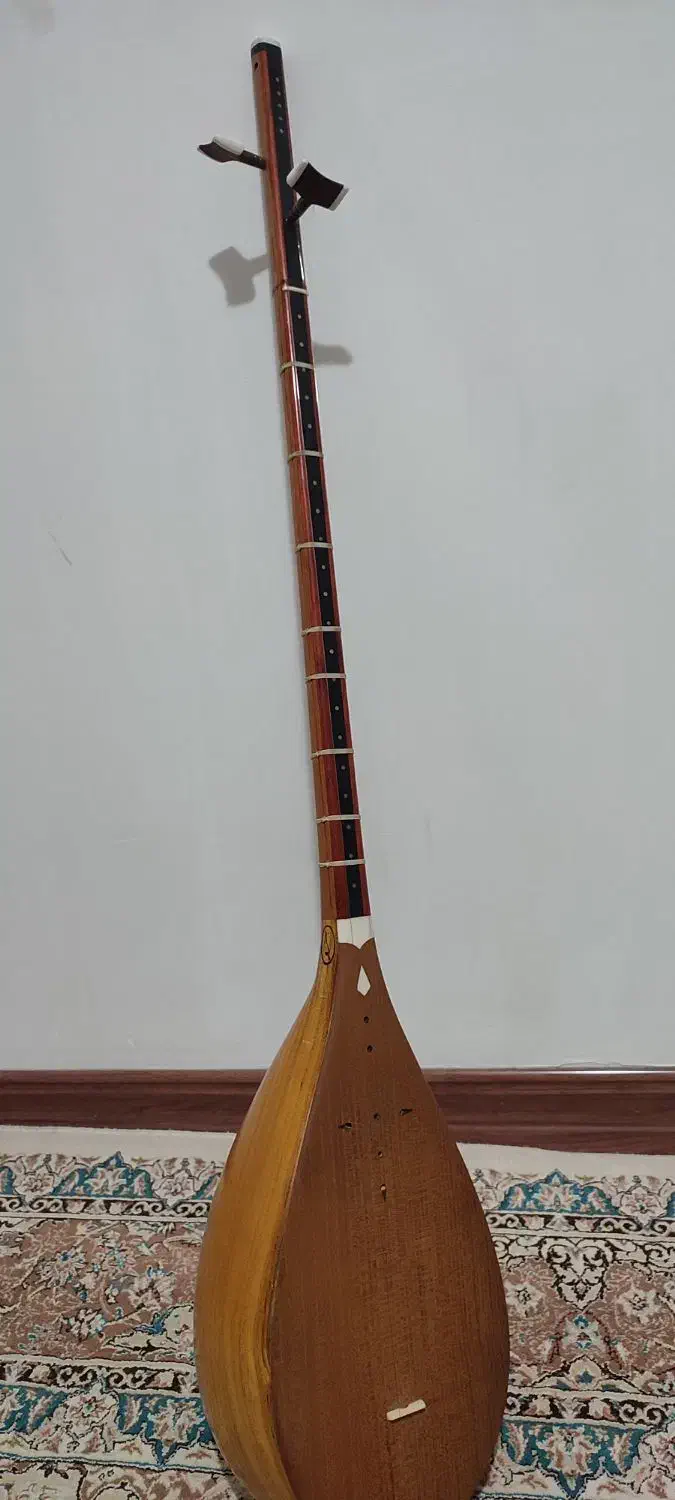 دوتار محلی مازندران|سازهای سنتی|گرگان, |دیوار